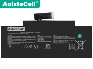 Akku für Asus TF300TL