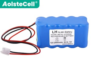 Akku für Biocare ECG-100