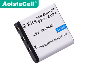 Akku für EPSON B31B173003CU