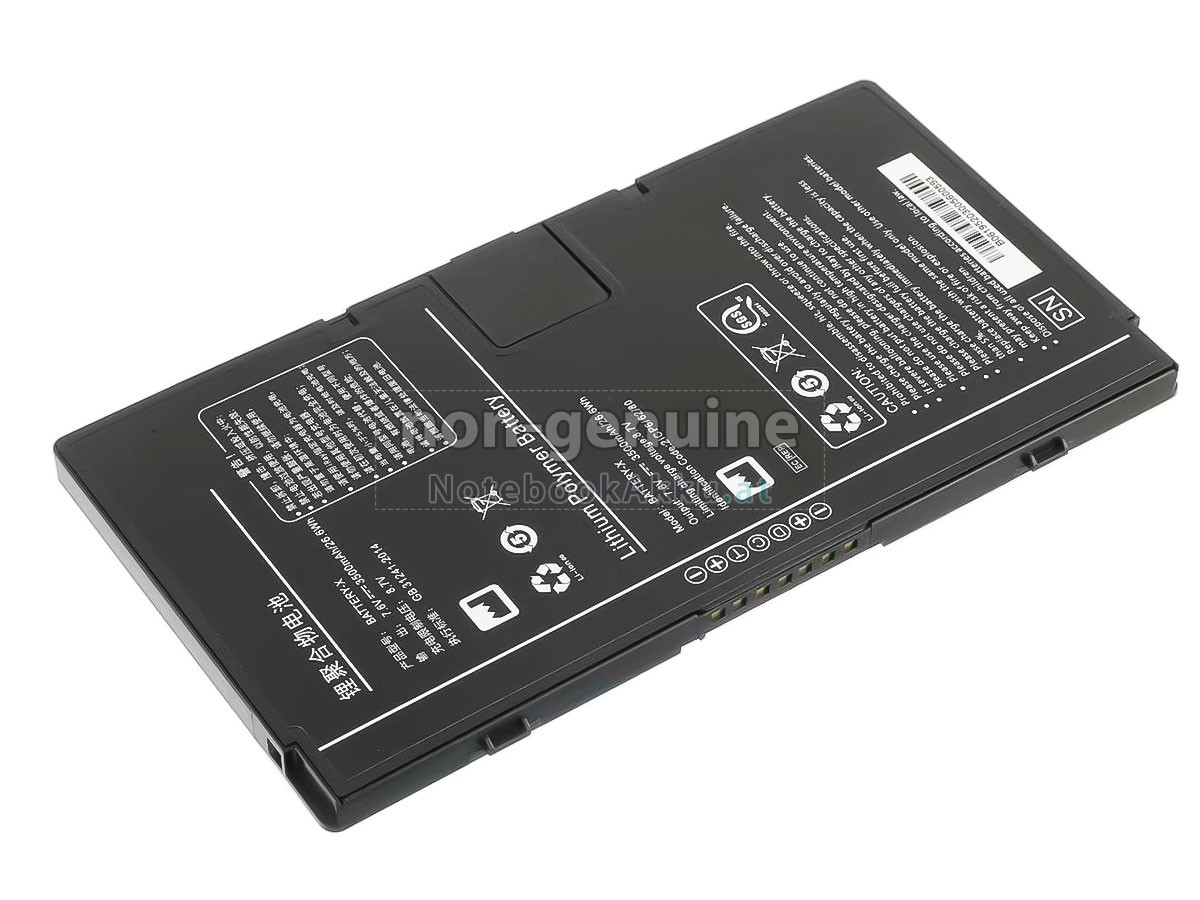 Akku für Iray BATTERY-X