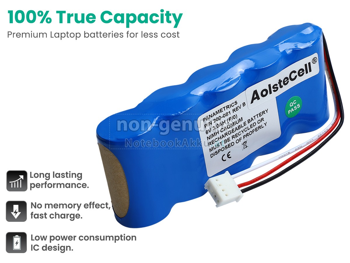 Akku für Panametrics PT878 FLOWMETER