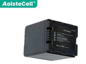 Akku für Panasonic HDC-HS900