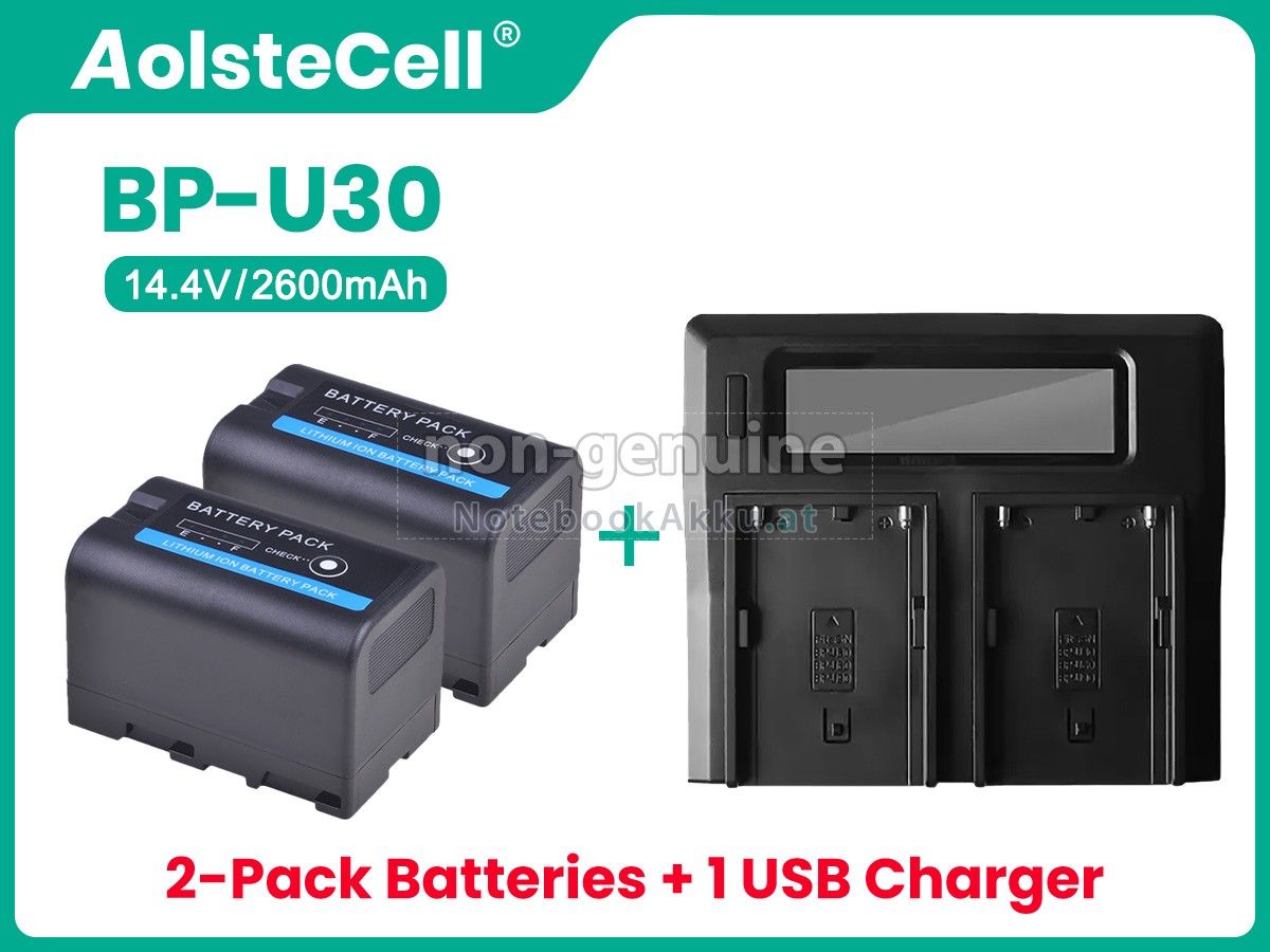 Akku für Sony BP-U35
